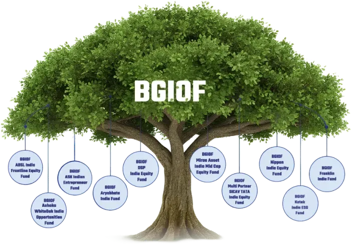 BGIOF Fund Illustration